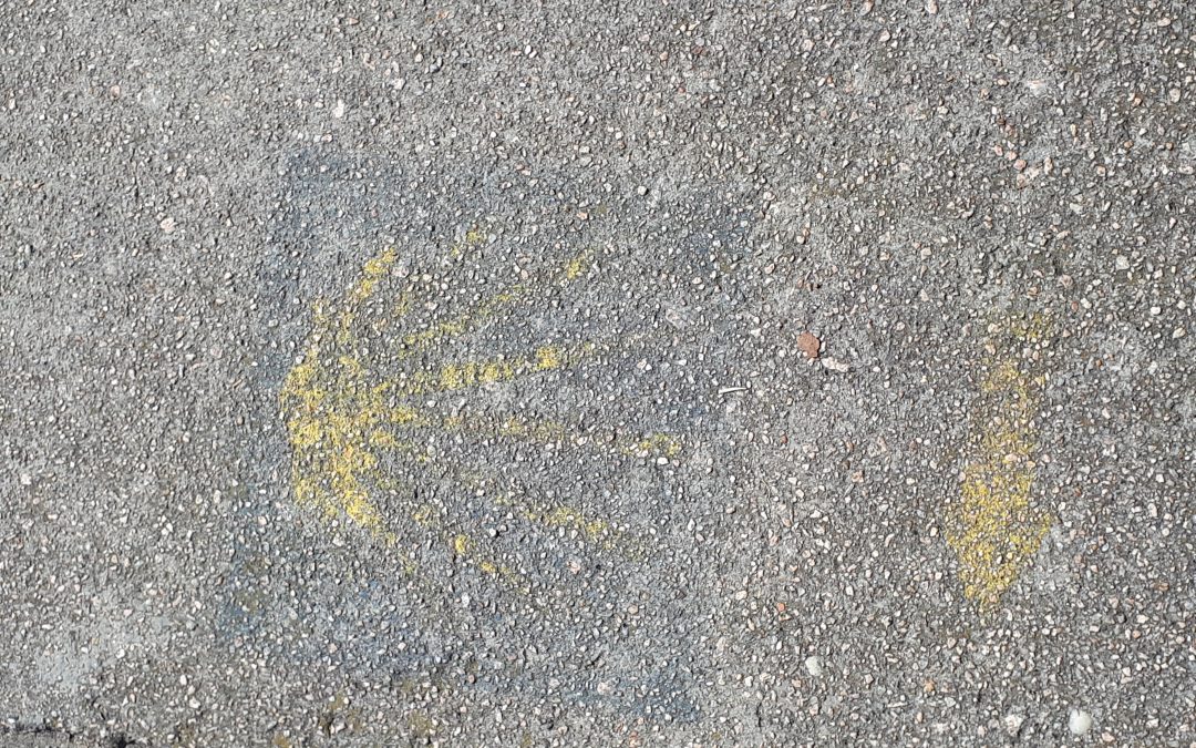 Find the yellow arrows